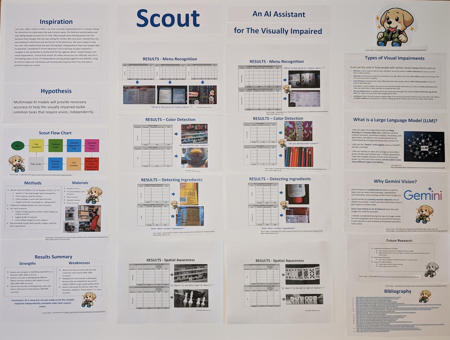 Close-up of Scout science fair poster